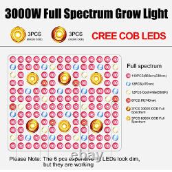 Phlizon CREE Cob Series 3000W 2000W 1000W LED Plant Grow Light for Indoor Plants