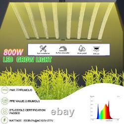Plant LED Grow Light 800W Full Spectrum Growing Lights Hydroponic Veg Indoor