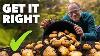 Potato Growing Masterclass My Tips For A Bigger Better Harvest
