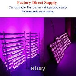 Real 300W Led Grow Light Full Spectrum Double Switch for Indoor Plants Veg Bloom