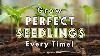 Seed Starting Success Sow Like A Pro