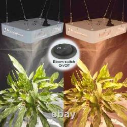 Sunlike 5000W LED Grow Light Full Spectrum For All Indoor Plant Veg Flower 3500K