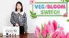 What Are The Advantages Of Veg Bloom Switch Mode 2000w Led Grow Light