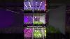 Which Plant Grow Light Spectrum Is Best For Leafy Vegetables 12 Spectrums Contrast Experiment
