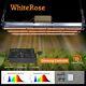 Whiterose 4500w Full Spectrum Dimmable Led Grow Light Bar Strips For Plants Veg