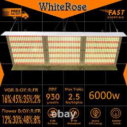 WhiteRose 6000W LED Grow Light Full Spectrum for Indoor Plants Veg Bloom IR IP65