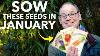 You Must Sow These Seeds In January