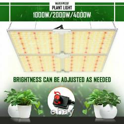 1000w 2000w 4000w Led Grow Light Samsung Full Spectrum Veg Flower Indoor Plants