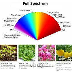 1000w Cree Cob Led Grow Light Full Spectrum Pour La Floraison De Veg À L'intérieur Des Plantes