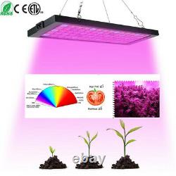 1000w Led Grow Lumière Hydroponique Spectre Complet Pour L'intérieur Veg Fleur Lampe De Plante Q