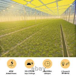 100w-450w Led Grow Light Full Spectrum Pour Les Plantes Intérieures Seeding Veg Flower Ir