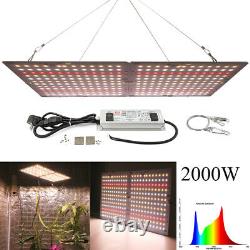 2000w Led Full Spectrum Plant Grow Light Veg Lampe Pour Les Plantes Hydroponiques Intérieures