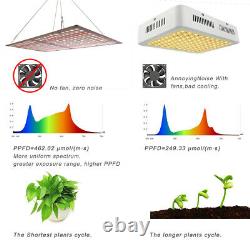 2000w Led Full Spectrum Plant Grow Light Veg Lampe Pour Les Plantes Hydroponiques Intérieures