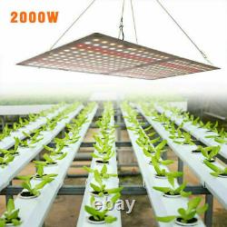 2000w Led Grow Light Full Spectrum Hydroponics Pour L'intérieur Veg Plante Lampe De Croissance