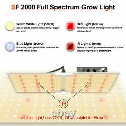 2000w Led Plant Grow Light Samsungled Lm301b Plantes Intérieures Fleur De Veg