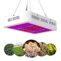2000w Led Pleine Lumière Plante Pousse Spectre Lampe À Effet De Serre D'intérieur Et Veg Flower Hot