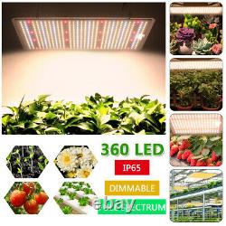 2000w Samsung Lm301b Led Grow Light Sunlike Plein Spectre Pour Indoor Veg Flower