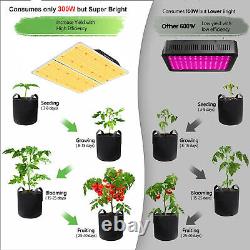 2024 Phlizon P3000 Lumière de Croissance LED Sunlike à Spectre Complet pour Plantes d'Intérieur Fleurs Légumes