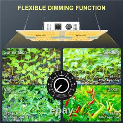 2024 Phlizon P3000 Lumière de Croissance LED Sunlike à Spectre Complet pour Plantes d'Intérieur Fleurs Légumes