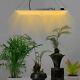 220w Lm301b Lampe De Culture Led Pour Plantes D'intérieur Veg Bloom Full Spectrum Dimming