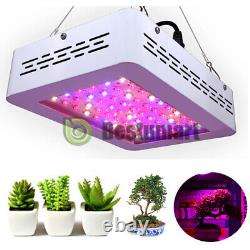 2Pack Lumière de Croissance LED Hydroponique à Spectre Complet pour Plantes d'Intérieur Végétatives et Florales