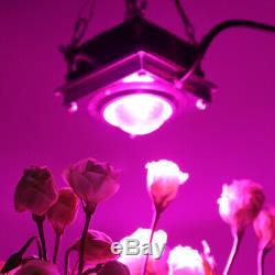 2pcs 1000w Cob Led Grow Light Full Spectrum Pour Hydroponique Fleur Plante Veg Lampe