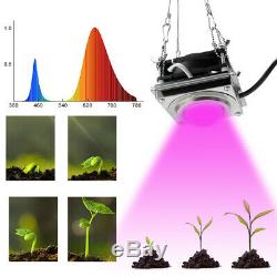2pcs 1000w Cob Led Grow Light Full Spectrum Pour Hydroponique Fleur Plante Veg Lampe