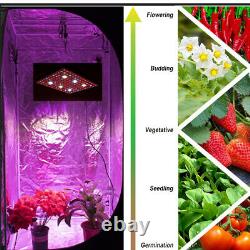 3000w Cree Cob Led Grow Lights Full Spectrum Veg / Bloom Pour Les Plantes D'intérieur