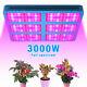 3000w Led Grow Light Full Spectrum Veg Bloom Pour Les Plantes Médicales Hydroélectriques Commerciales