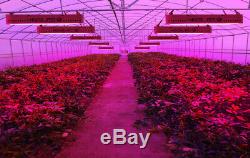 3000w Led Grow Light Full Spectrum Veg Flower Panel Lampe De Plantes D'intérieur Us Stock