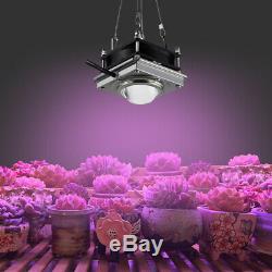 4 × 300w Watt Cob Led Grow Light Full Spectrum Plantes Lampe Hydroponique Veg Fleurs