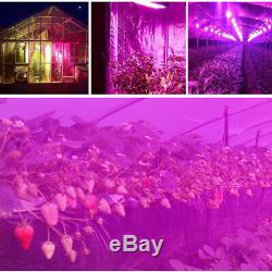 5 X 1500w Diy Led Grow Light Pour Maison Intérieur Hydroponique Veg Bloom Lampes Usine