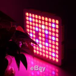 5000w Led Grow Light Full Spectrum Pour Hydroponique Lampe D'intérieur Pour Veg Herb Usine