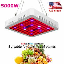 5000w Led Grow Light Full Spectrum Pour L'intérieur Plante Médicinale Fleur Veg Lampe Ip65
