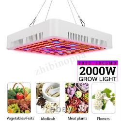 5000w Led Grow Light Hydroponic Full Spectrum Indoor Veg&flower Plant Lamp&panel