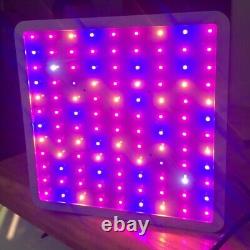 5000w Led Grow Light Hydroponique Full Spectrum Intérieur Veg Usine De Fleur Lampe & Panel