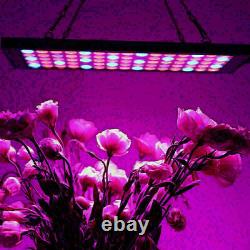 5000w Led Grow Light Ir Uv Full Spectrum For Indoor Hydroponic Plant Flowers Veg