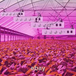 6000w Led Grow Lampe De Lumière Spectre Complet Pour Les Plantes À L'intérieur Veg Flower+daisy Chain
