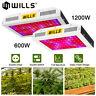 600w 1200w Led Grow Light Full Spectrum Double Interrupteur Veg/bloom Pour Plante Intérieure