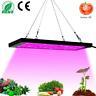 600w Led Grow Light Lamp Panel Full Spectrum Hydroponique Veg Plante Floriculture