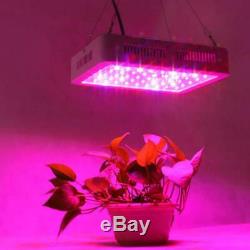 600w Led Usine Grow Light Full Spectrum Lampe D'intérieur À Effet De Serre Veg & Flower Hot