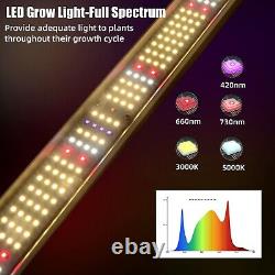 640W Lumière de croissance LED à spectre complet pour semis Veg Lumières de culture hydroponique
