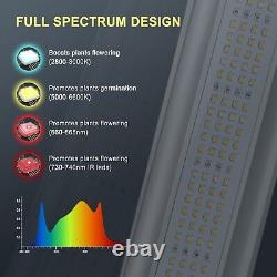 640W Lumière de croissance à spectre complet Samsung LED commercial 8 barres pour légumes en intérieur