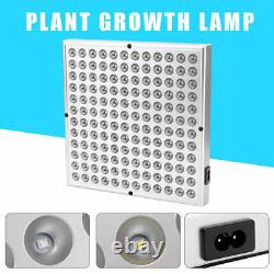 8000w Led Grow Light Full Spectrum Plant Culturing Lamp Kit Pour Les Fleurs De Veg Intérieur