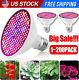 Ampoule De Croissance à Spectre Complet 300led Grow Light Pour Plantes D'intérieur Fleurs Veg Growing