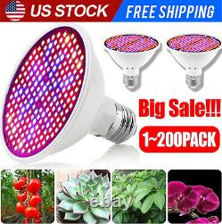 Ampoule de croissance à spectre complet 300LED Grow Light pour plantes d'intérieur Fleurs Veg Growing