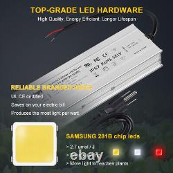 Barre lumineuse de culture LED commerciale de 640W avec Samsung 281b pour plantes d'intérieur Veg Flower