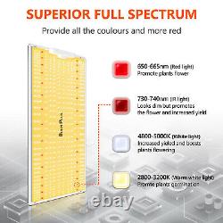 Bloom Plus Xp2500 Led Grow Light Full Spectrum Samsung Lm301h Indoor Veg Flower