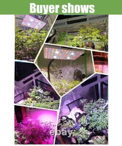Cob Led Grow Light 2000w Spectrum Plante À Haut Rendement Lamp Fleur De Veg Greenhouse