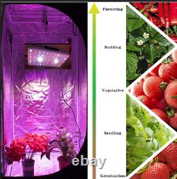 Cree Cob 1000w Led Grow Light Full Spectrum Avec Veg / Bloom Commutateur Pour Effet De Serre